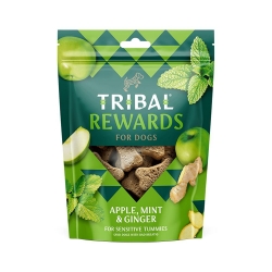 Tribal Apple, Mint & Ginger Treats 125g